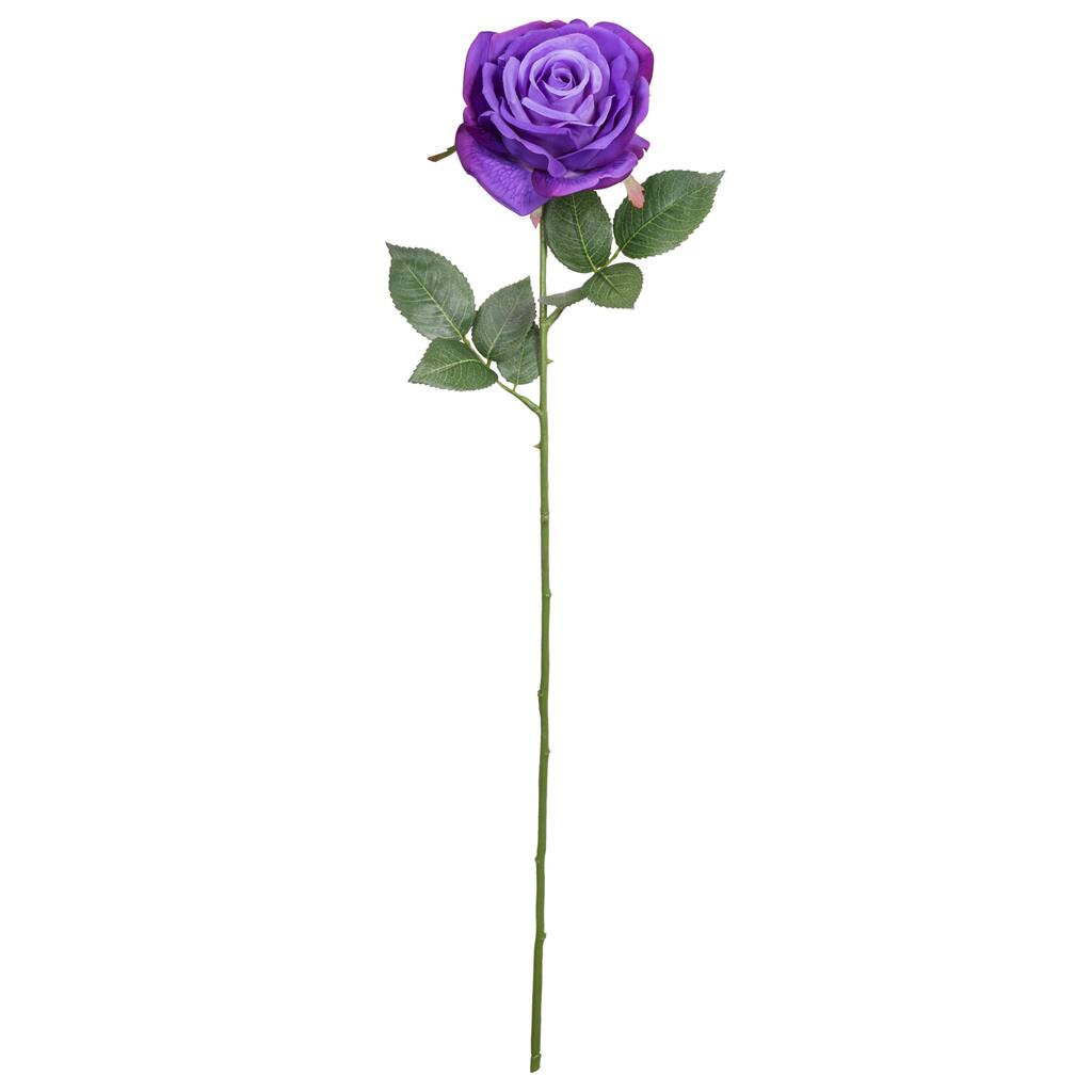10534409.jpg img
